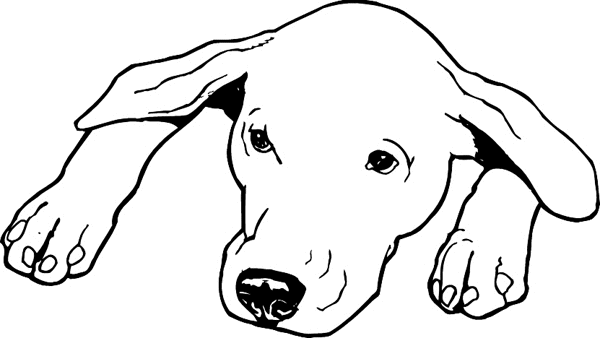 pets0122 - Begging dog vinyl sticker. Customize on line. 