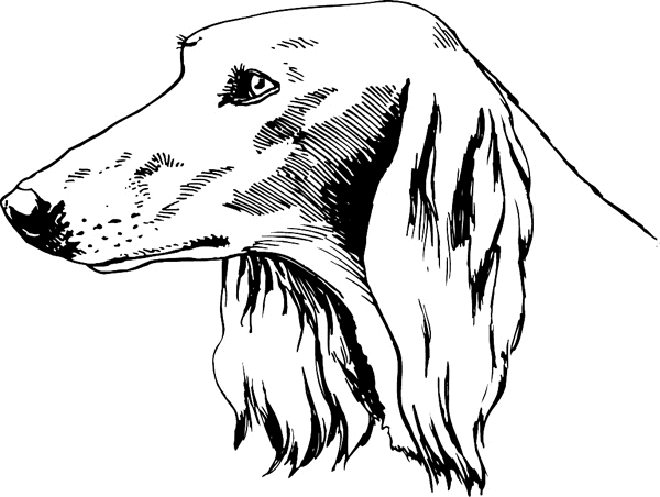 Irish Setter Dog vinyl sticker. Customize on line. pets0125 - 