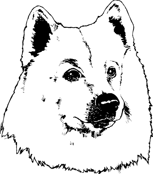 Husky Dog Head vinyl sticker. Customize on line. pets0126 husky dog decal
