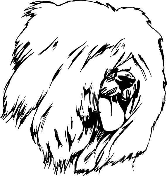 pets0133 - Shaggy dog graphic decal. Personalize on line. 