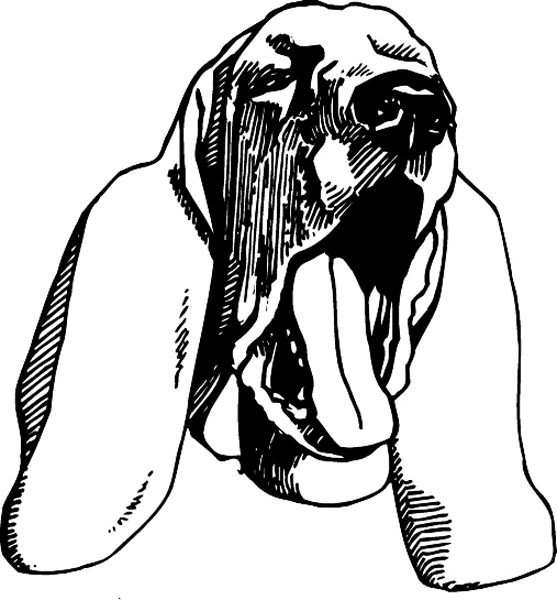Yawning Basset Hound graphic sticker. Customize on line. pets0160 - dog decal