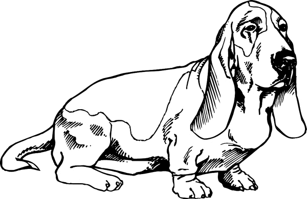 pets0161 - Basset Hound dog vinyl decal. Personalize on line. 