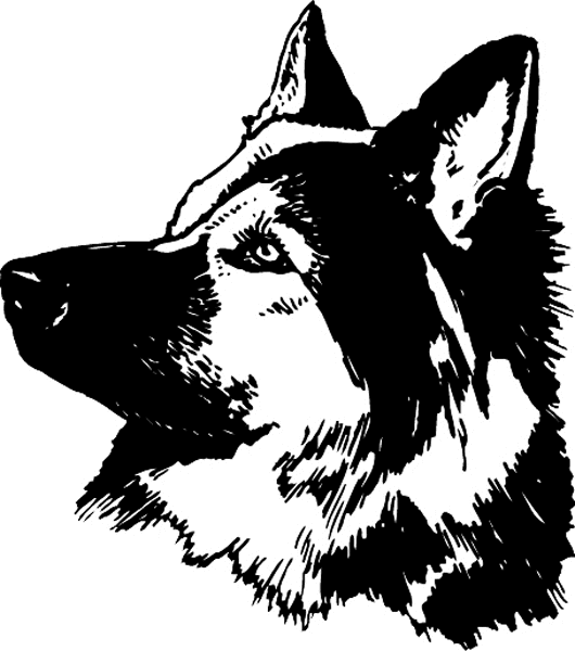 pets0163 - German Shepherd dog face graphic decal. Customize on line.