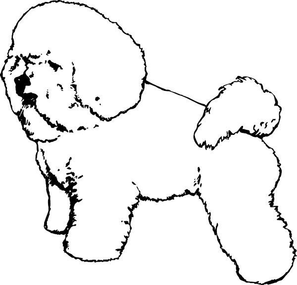 pets0164 - Bichon Frieze dog vinyl decal. Customize on line. 