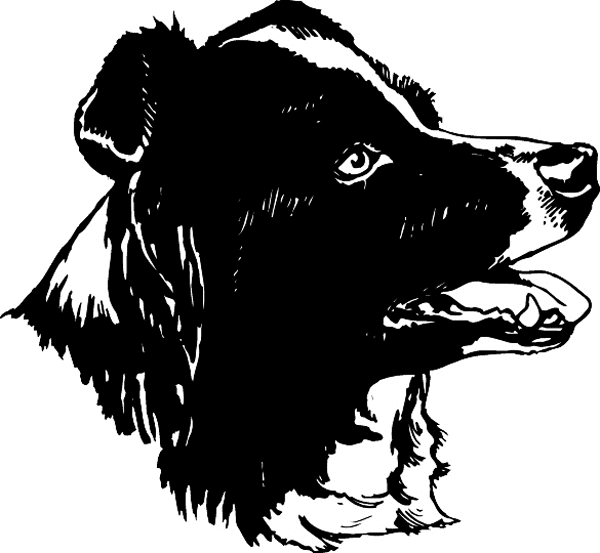 Black and white dog vinyl sticker. Customize on line. pets0169 dog decal