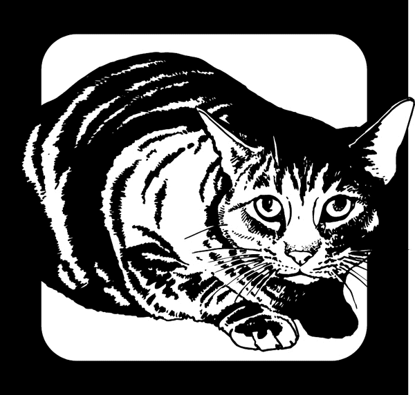 pets0180 - Striped cat vinyl decal. Customize on line. 