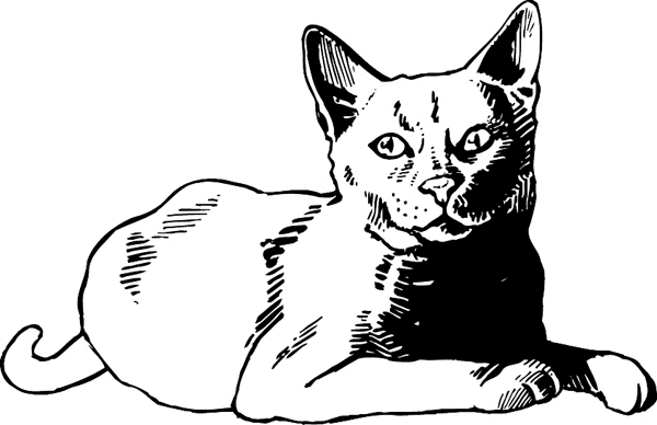 Resting Cat vinyl graphic sticker. Customize on line. pets0185 - 