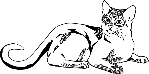pets0186 - Resting Cat vinyl decal. Personalize on line. 