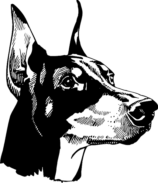 Doberman Head vinyl sticker. Customize on line. pets0202 - dog sticker