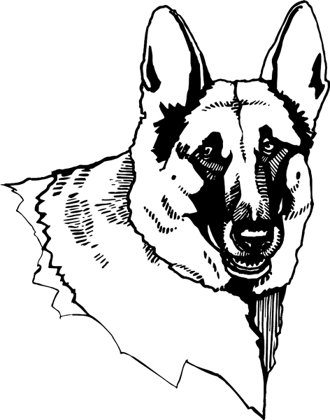 German Shepherd Dog vinyl action sticker. Customize on line. pets0210 -