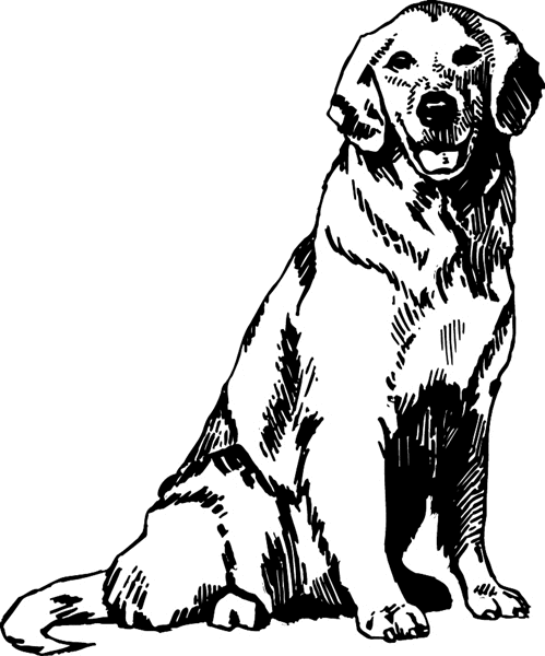 pets0212 - Golden Retriever dog vinyl decal. Customize on line. 