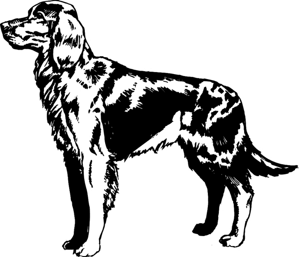 pets0219  Golden retriever dog vinyl sticker. Customize on line. 