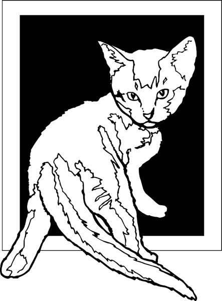 pets0225 -  Pretty Kitten vinyl graphic sticker. Customize on line. 