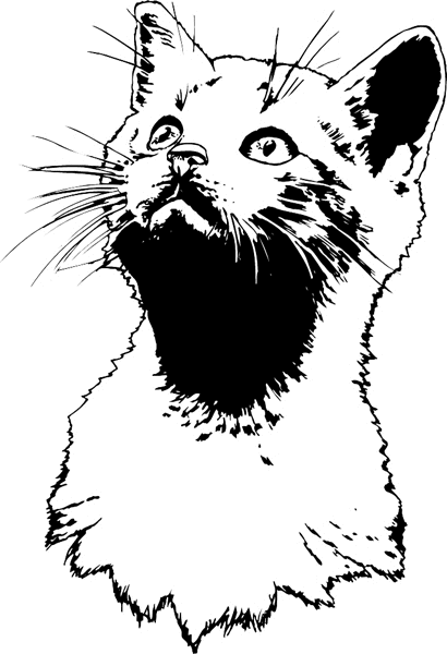 Pretty Cat Head graphic sticker. Personalize on line. pets0226 - 