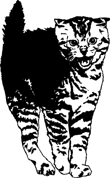 Angry cat vinyl graphic sticker. Customize online.  pets0227 -