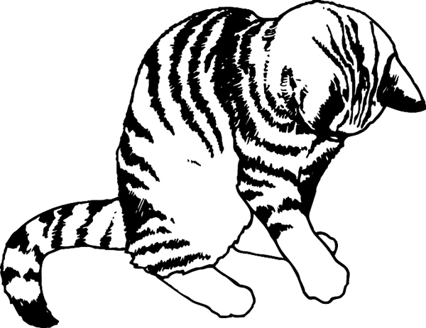 Striped Cat Playing vinyl sticker. Customize on line. pets0228 cat playing sticker