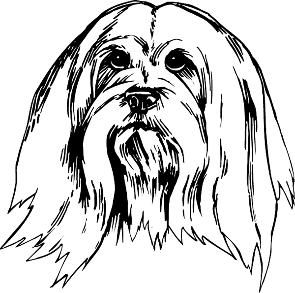 pets0235 - Shaggy dog's head vinyl sticker. Personalize on line. 