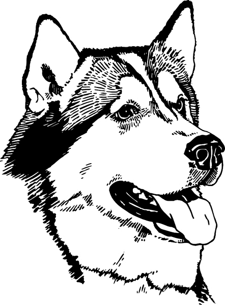 Alaskan Husky Dog graphic sticker. Personalize on line. pets0238 - husky dog decal