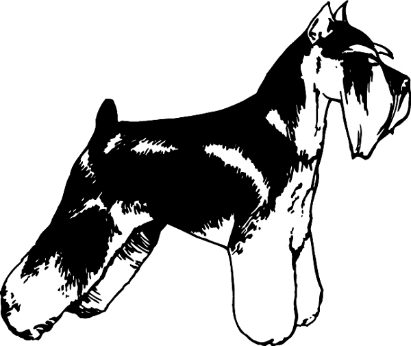 Schnauzer dog graphic sticker. Personalize on line. pets0240 - 