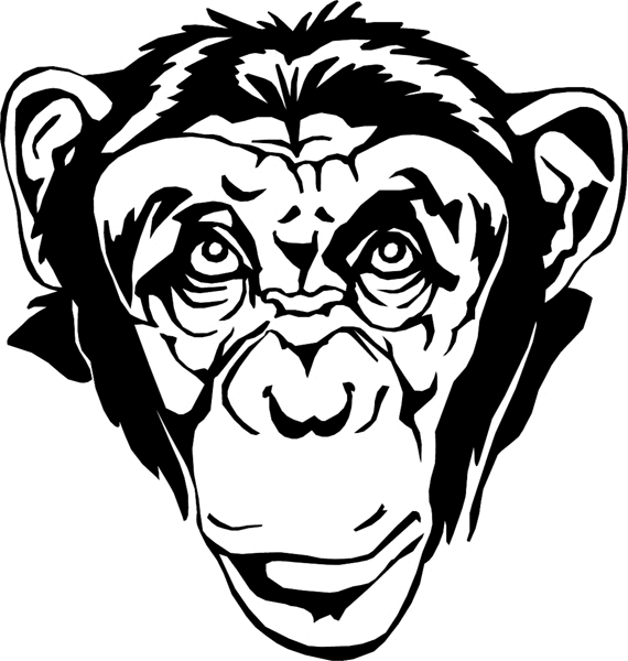 Chimpanzee Head vinyl graphic decal. Customize on line. wildlifechimphed