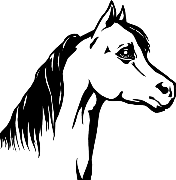 Horse Head vinyl sticker. Customize on line. wildlifehorsehed
