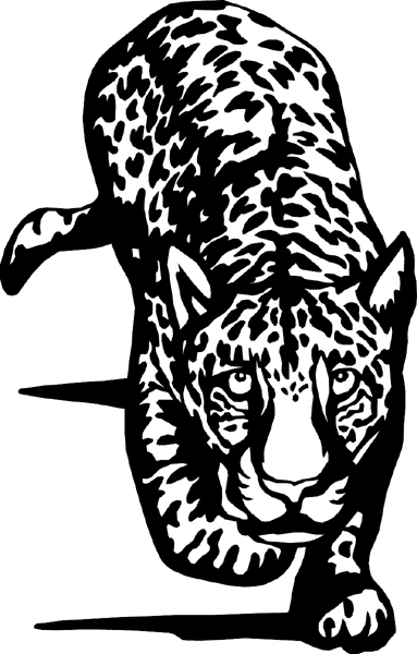 Leopard vinyl graphic decal. Customize on line. wildlifeleopard