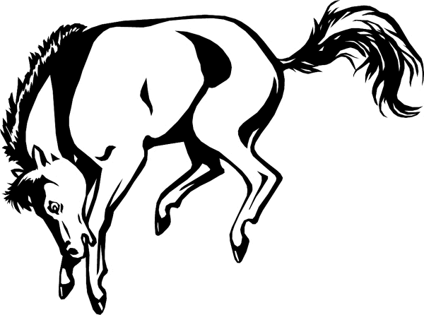 Bucking Horse vinyl sticker. Personalize on line. wildlifemustang