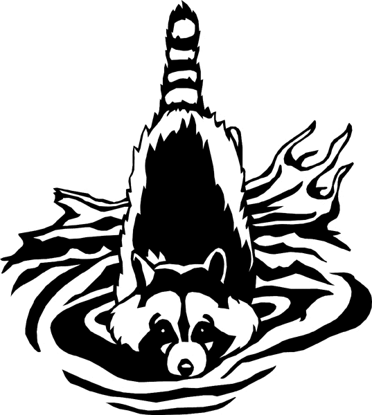 Raccoon vinyl graphic decal. Customize on line. wildliferacoon