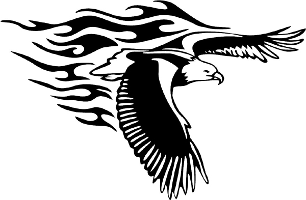 Flaming Eagle in Flight Mascot vinyl graphic decal. Personalize on line. animal-flames-0060b