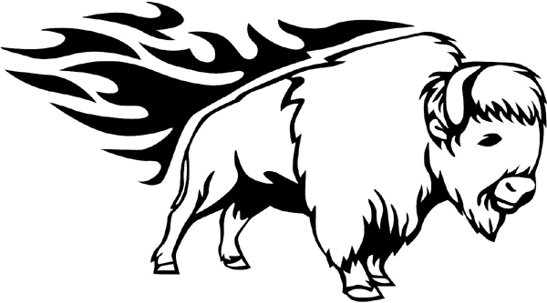 Flaming Buffalo Mascot graphic vinyl sticker. Customize on line as you order. animal-flames-0077b