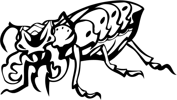 Armored Insect graphic decal. Customize on line as you order. insect-decal-pi_002