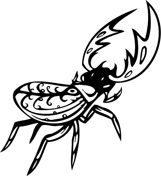 Beetle-like Insect vinyl graphic sticker. Customize on line. insect-decal-pi_005