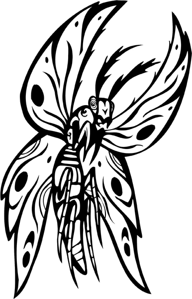 Double winged Insect vinyl graphic sticker. Customize on line. insect-decal-pi_032