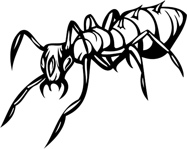 Crawling Insect vinyl decal. Customize on line. insect-decal-pi_041