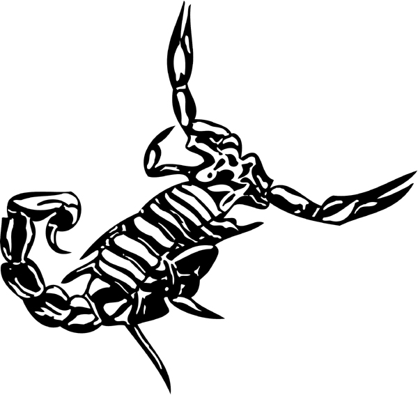 Scorpian vinyl decal. Personalize on line. insect-decal-pi_042