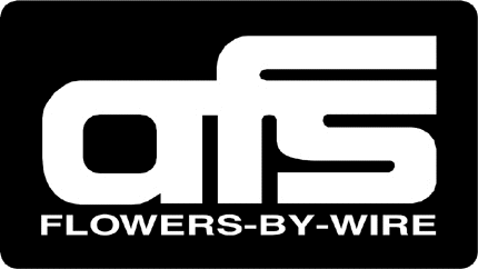 AFS 1 Graphic Logo Decal