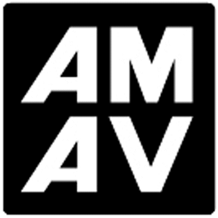 AMAV TOYS Graphic Logo Decal