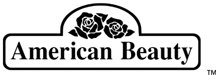 AMERICAN BEAUTY Graphic Logo Decal