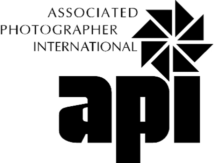 API Graphic Logo Decal