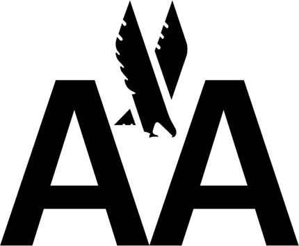 American Airlines Graphic Logo Decal