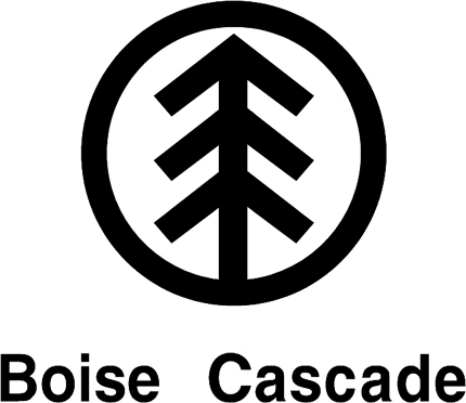 Bose Cascade Graphic Logo Decal