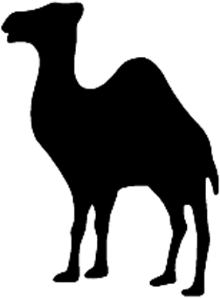 CAMEL Graphic Logo Decal