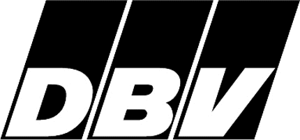 DBV Graphic Logo Decal