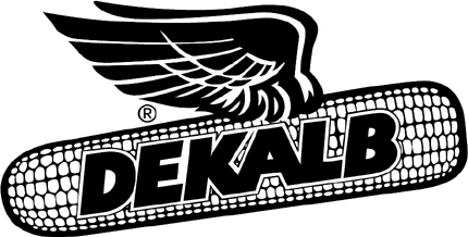 Dekalb Graphic Logo Decal