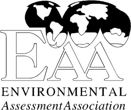 EAA Graphic Logo Decal