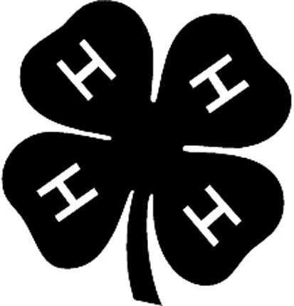 FOUR H CLUB Graphic Logo Decal