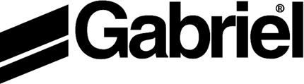 Gabriel Graphic Logo Decal