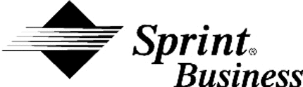 SPRINT BUSINESS Graphic Logo Decal