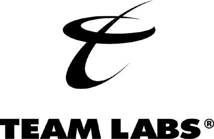 TEAM LABS 2 Graphic Logo Decal