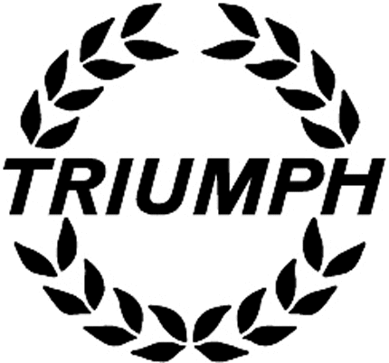 TRIUMPH 2 Graphic Logo Decal
